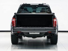 Ford F-150 Raptor 2025 3.5T Raptor - фото 13