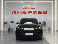 Tesla Model Y long-range all-wheel drive version - фото 2