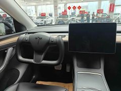 Tesla Model Y long-range all-wheel drive version - фото 8