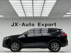 Haval H6 2021 National Fashion Edition 1.5T Automatic Champion Edition - фото 8