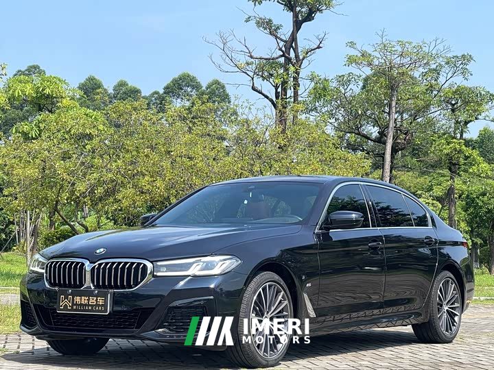 BMW 5 Series 530Li xDrive M Sports Package - автомобиль из Китая