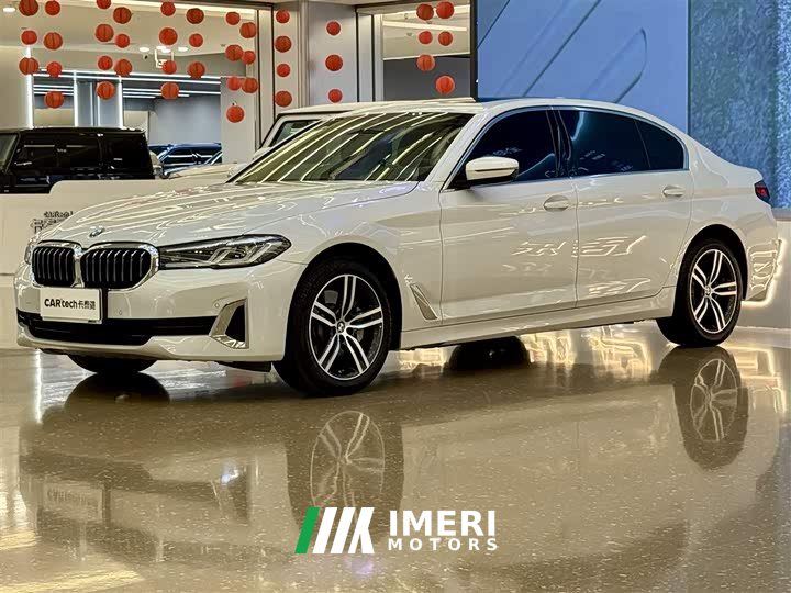 BMW 5 Series 530Li Leading Luxury Package - автомобиль из Китая
