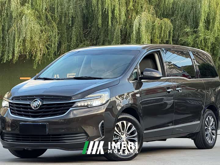 Buick GL8 Land Business Class 652T Luxury