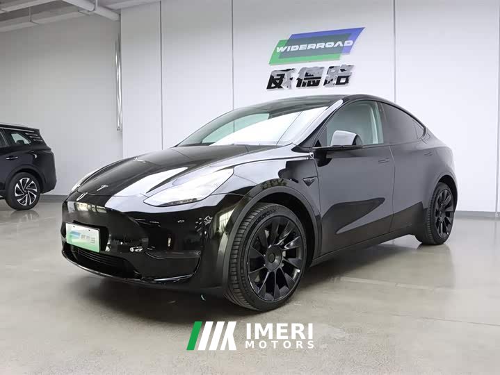 Tesla Model Y long-range all-wheel drive version - автомобиль из Китая