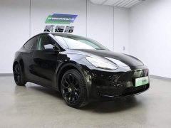 Tesla Model Y long-range all-wheel drive version - фото 3