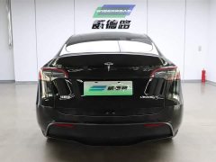 Tesla Model Y long-range all-wheel drive version - фото 7