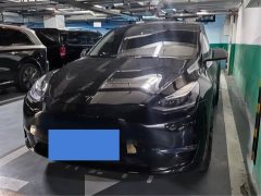 Tesla Model Y 2021 standard range rear-wheel drive version - фото 1