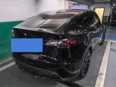 Tesla Model Y 2021 standard range rear-wheel drive version - фото 6