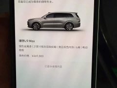 Li Auto Ideal L9 2022 Max - фото 6