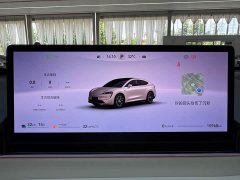 Luxeed Zhijie R7 extended range 251km Max - фото 18