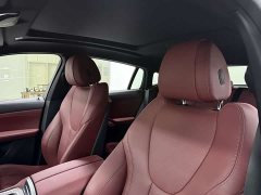 BMW X6 xDrive40i M Sports Package - фото 14