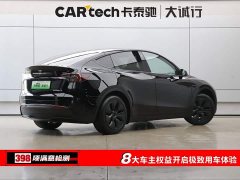 Tesla Model Y 2023 rear-wheel drive version - фото 9