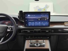 BMW Aviator 2023 3.0T V6 four-wheel drive exclusive cruise version, six seats - фото 13