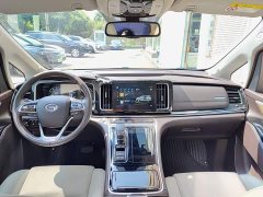 Trumpchi M8 2021 Master Series 390T Extreme Edition - фото 10