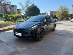 Tesla Model Y standard range rear-wheel drive version - фото 1