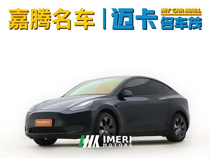 Tesla Model Y rear-wheel drive version - автомобиль из Китая