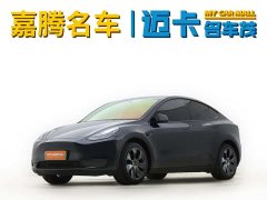 Tesla Model Y rear-wheel drive version - фото 1