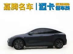 Tesla Model Y rear-wheel drive version - фото 2