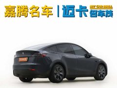 Tesla Model Y rear-wheel drive version - фото 3