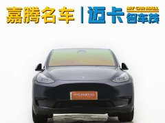 Tesla Model Y rear-wheel drive version - фото 4