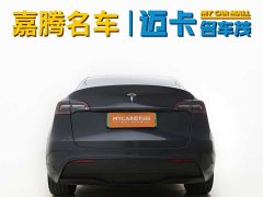 Tesla Model Y rear-wheel drive version - фото 5
