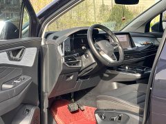Lanjing 380TSI four-wheel drive luxury Jiajing Edition Pro 6 seats - фото 3