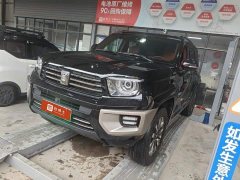 Tank 700 New Energy 2024 Hi4-T Extreme Edition - фото 1