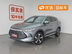 BYD Song PLUS New Energy 2021 DM-i 110KM flagship PLUS 5G version - фото 1