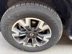 Lexus Cannon 2021 2.0T passenger global version automatic diesel four-wheel drive sports standard box GW4D20M - фото 14