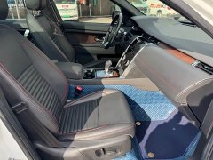 Lexus Discovery Sport 2020 249PS R-Dynamic Performance Edition - фото 18