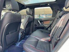 Lexus Discovery Sport 2020 249PS R-Dynamic Performance Edition - фото 7