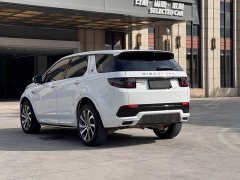 Lexus Discovery Sport 2020 249PS R-Dynamic Performance Edition - фото 8