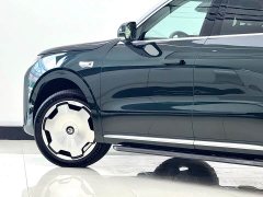 BMW Leapmoon D19 Extended Range 500 Zhizun Edition Six Seats - фото 10