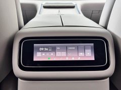 BMW Leapmoon D19 Extended Range 500 Zhizun Edition Six Seats - фото 20