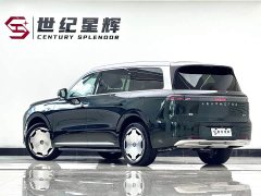 BMW Leapmoon D19 Extended Range 500 Zhizun Edition Six Seats - фото 6