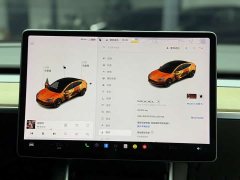 Tesla Model 3 Standard Range Rear Drive Upgraded Version - фото 14