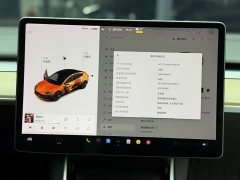 Tesla Model 3 Standard Range Rear Drive Upgraded Version - фото 15