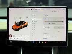 Tesla Model 3 Standard Range Rear Drive Upgraded Version - фото 16