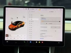 Tesla Model 3 Standard Range Rear Drive Upgraded Version - фото 17