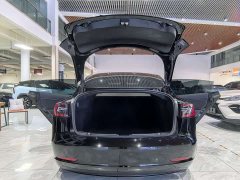 Tesla Model 3 Performance high-performance all-wheel drive version - фото 18