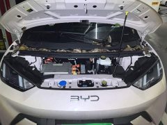 BYD Seagull 2025 305km Free Edition - фото 16