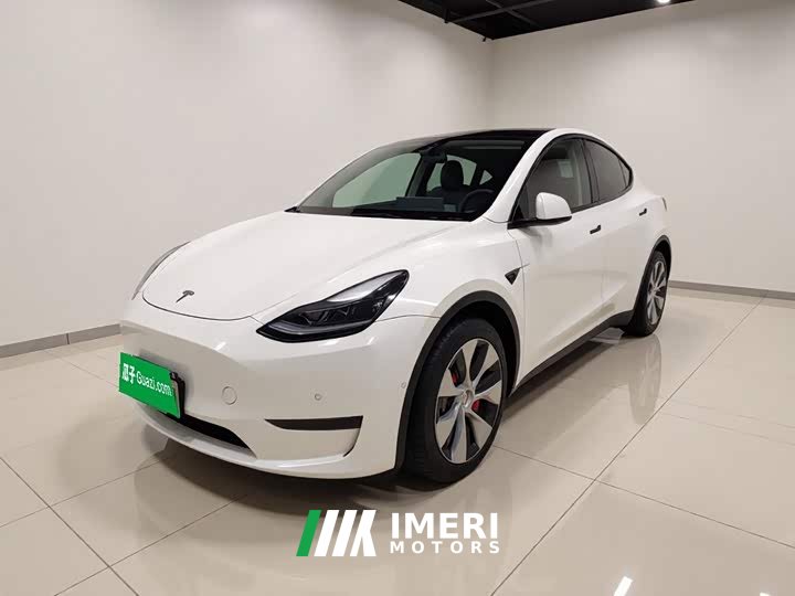 Tesla Model Y standard range rear-wheel drive version - автомобиль из Китая