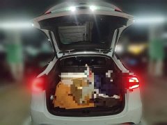 Tesla Model Y standard range rear-wheel drive version - фото 20