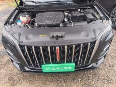 Hongqi HS5 2.0T two-wheel drive Qixiang Pro version - фото 16