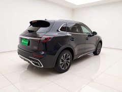 Hongqi HS5 2.0T two-wheel drive Qixiang Pro version - фото 4