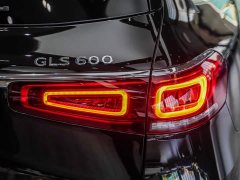 Maybach GLS 600 4MATIC Lile Edition - фото 19