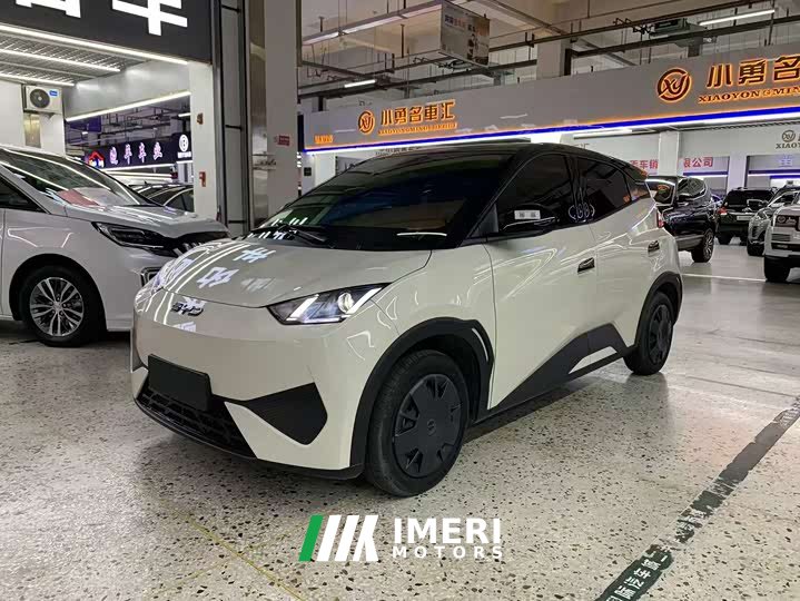 BYD Seagull 305km Free Edition - автомобиль из Китая