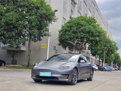 Tesla Model 3 standard range rear drive upgraded version 3D6 - фото 1