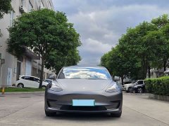 Tesla Model 3 standard range rear drive upgraded version 3D6 - фото 2