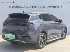 BYD Tangxin Energy 2021 DM-i 112KM Honor Type - фото 3